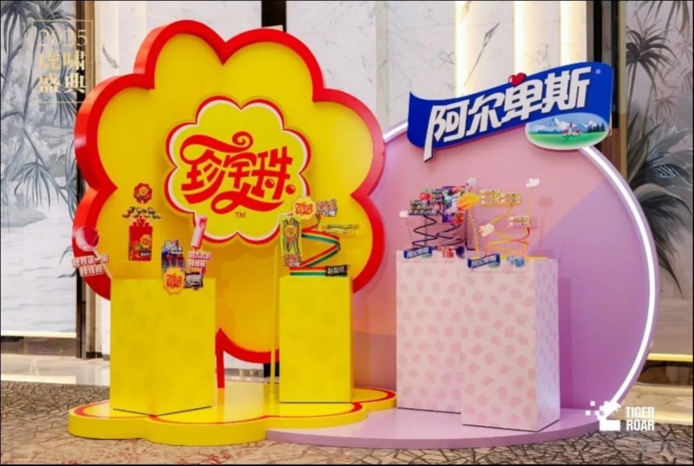 活动现场展示区