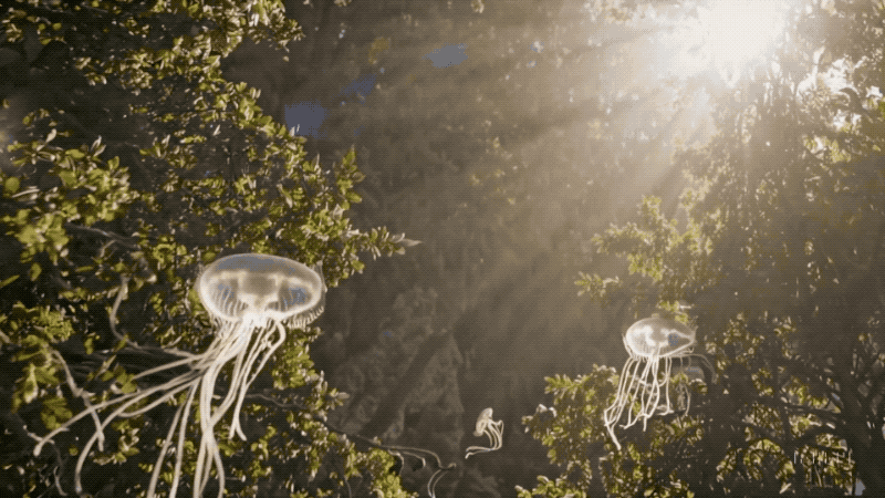 水母在天空中飞翔（图片来源：sora官网）