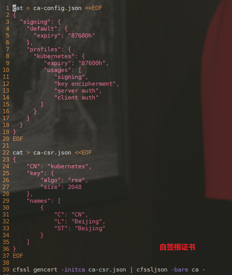 image-20230217224206679