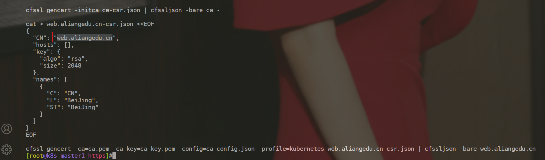 image-20230217224306435