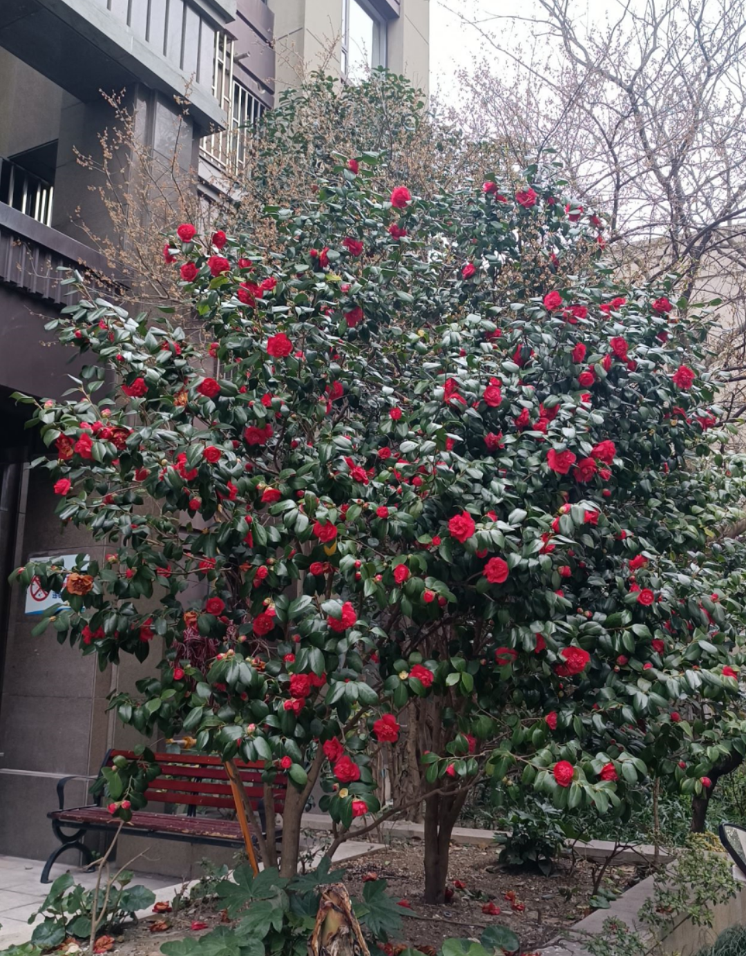 image-20230316103435494