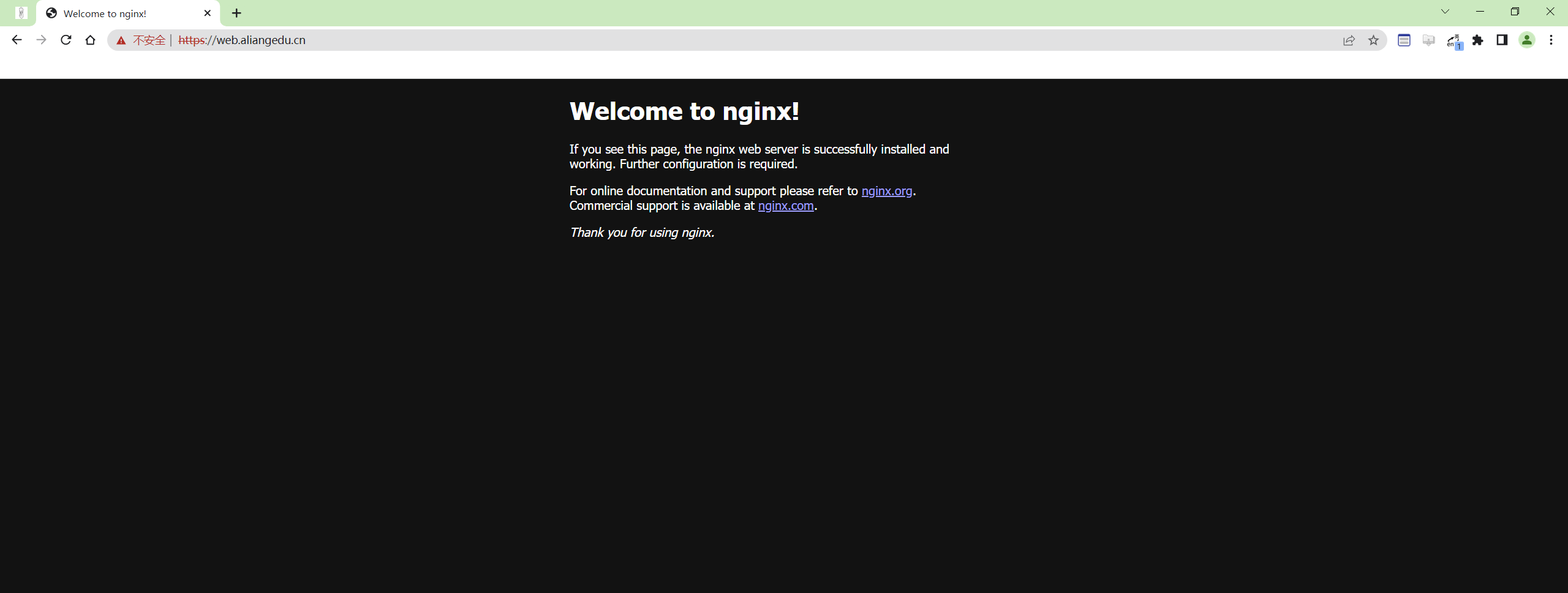 image-20230217224253647