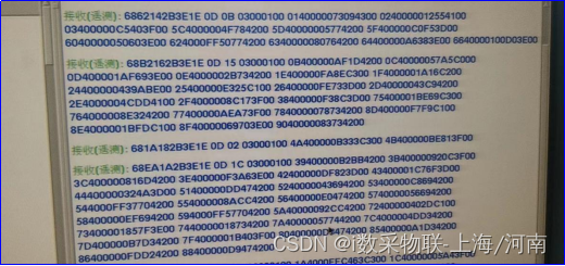 目标报文:IEC104报文效果展示