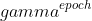 gamma^{epoch}