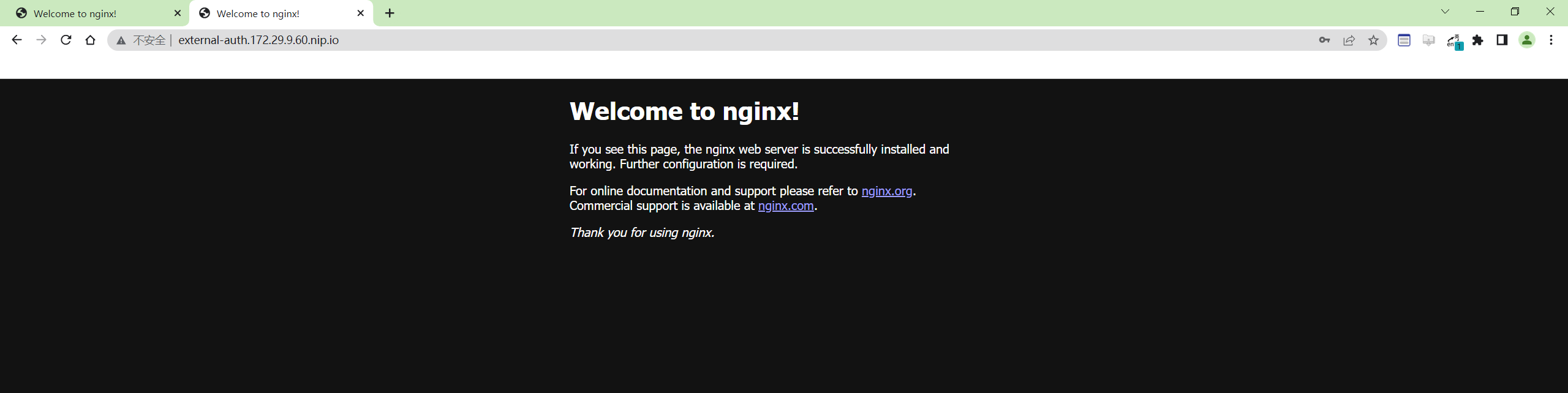 image-20230312230551580