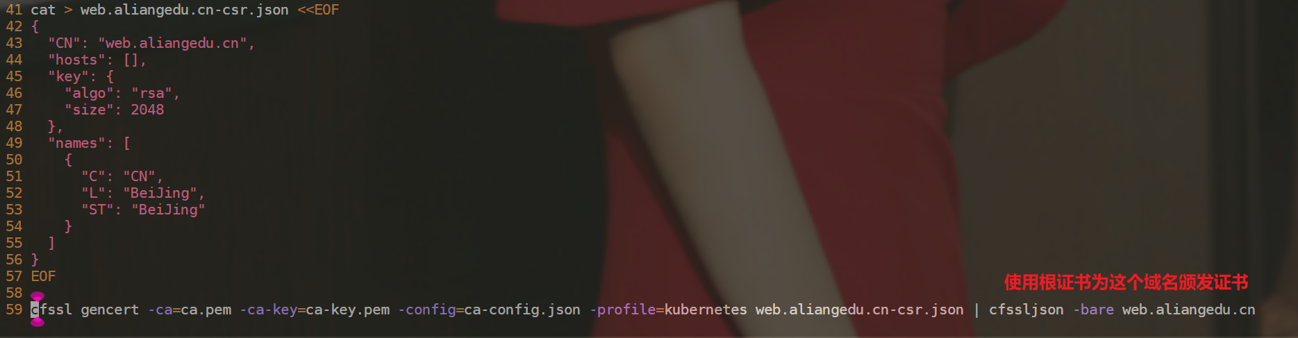 image-20230217224314422