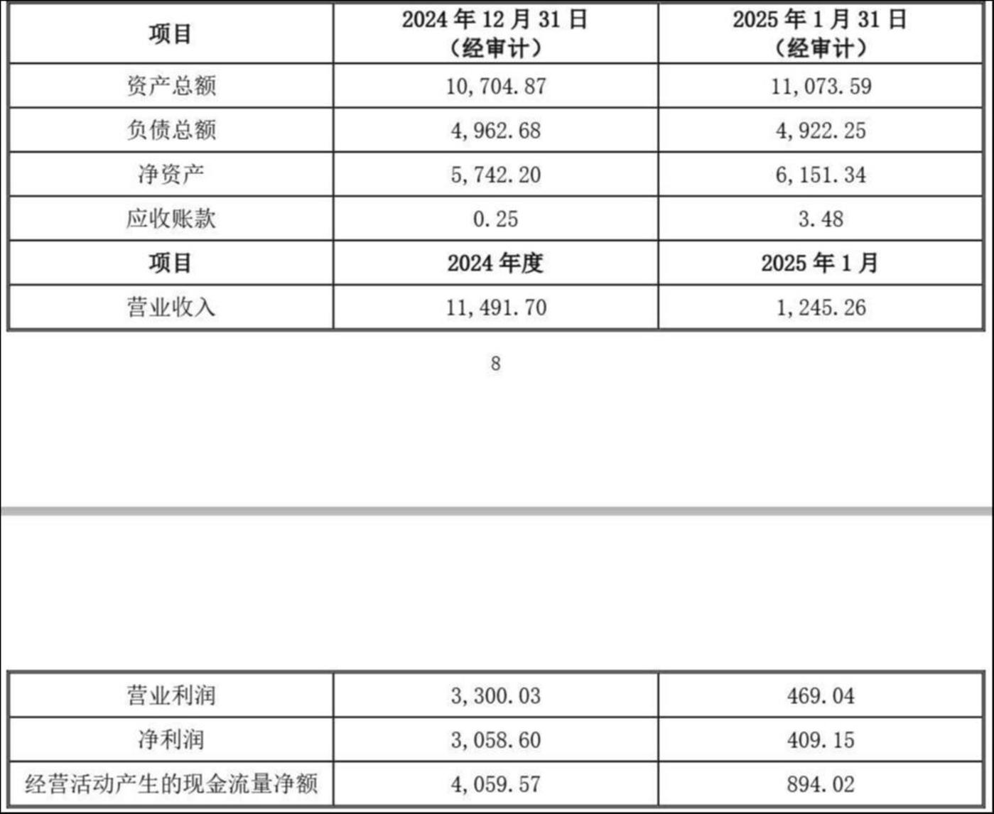 标的主要财务数据