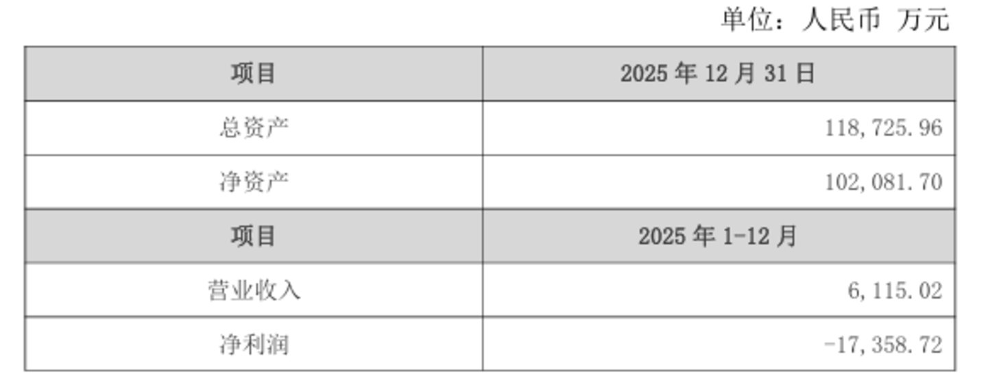 信维电科2025年未经审计财务数据